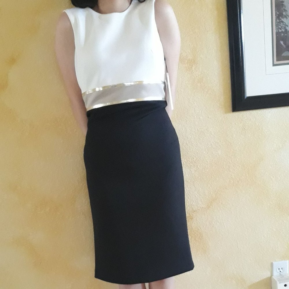 Calvin Klein.  Block Color Dress,
